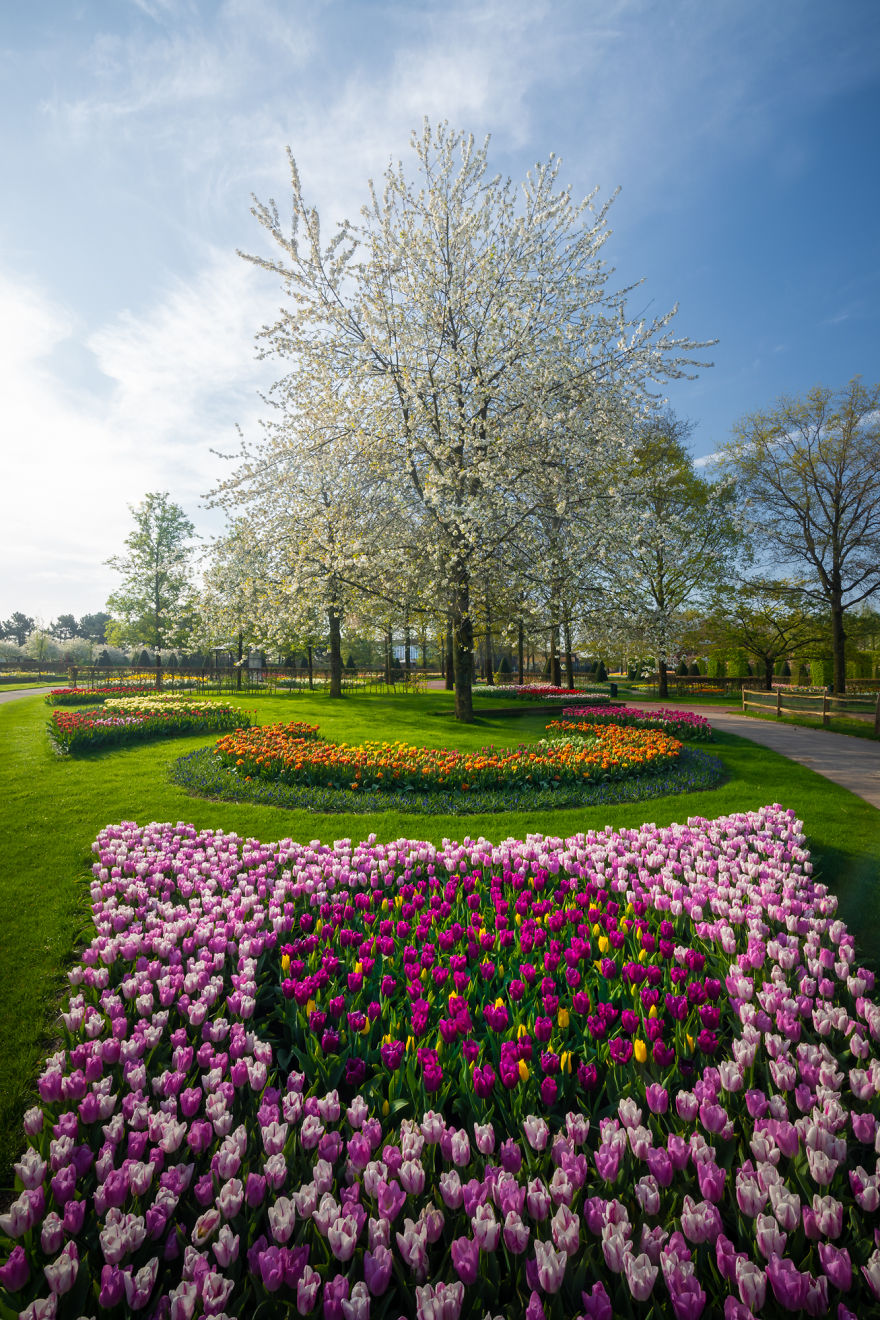 荷兰「世界最美花园」变身无人仙境 摄影师拍下「隐藏版绝美风景」:空